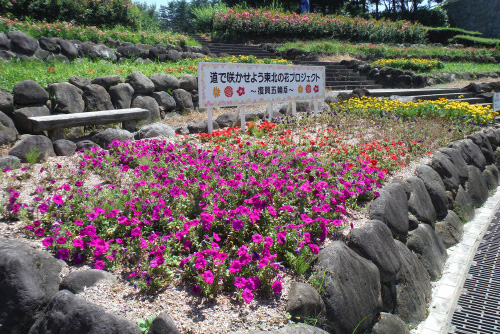 東北の花プロジェクト事業花壇の写真