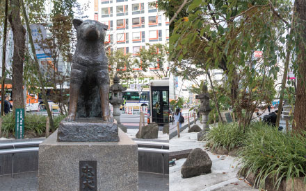 ハチ公像・ミニ庭園 の写真