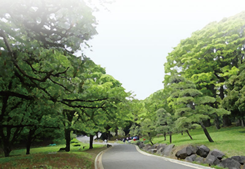 代々木公園