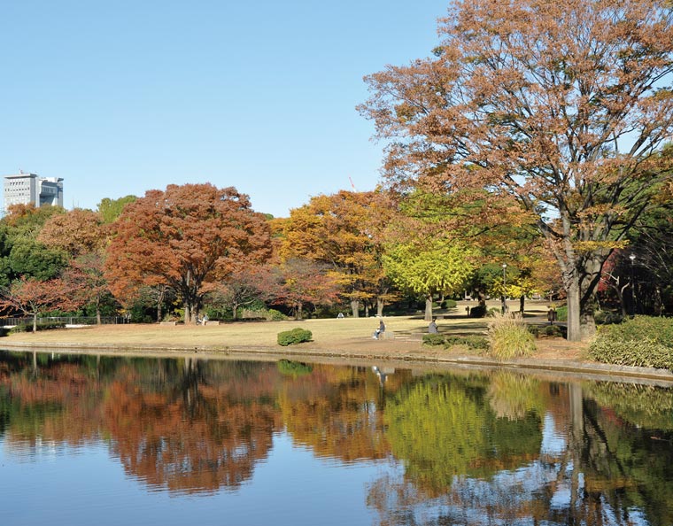 北の丸公園