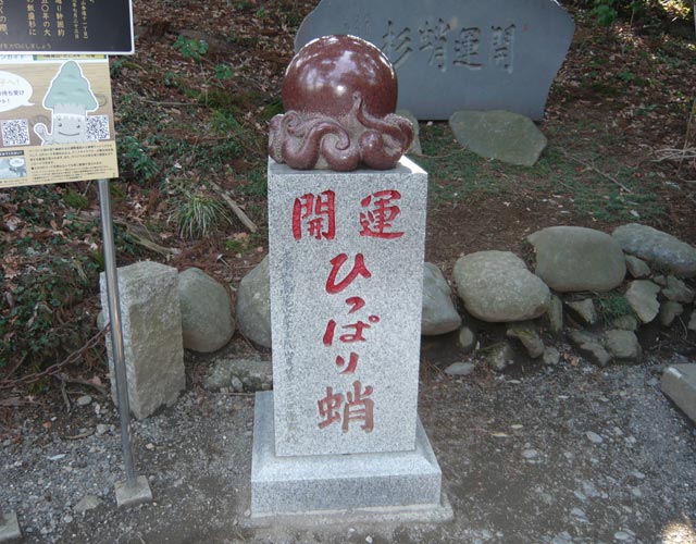 ひっぱり蛸