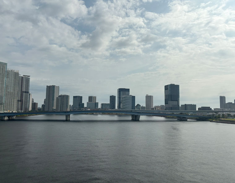 豊洲大橋から望む