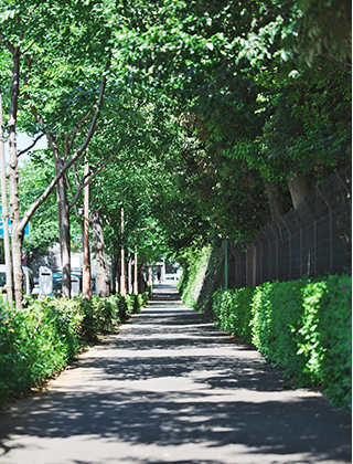 美化活動 写真1 中野通り