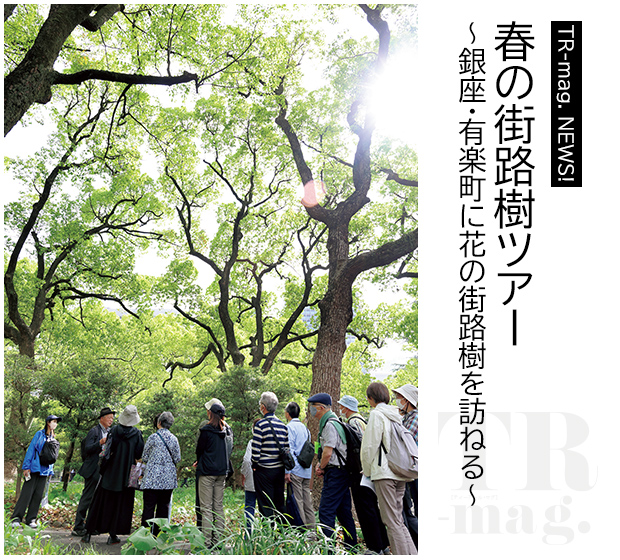TR-mag NEWS! 春の街路樹ツアー~銀座・有楽町