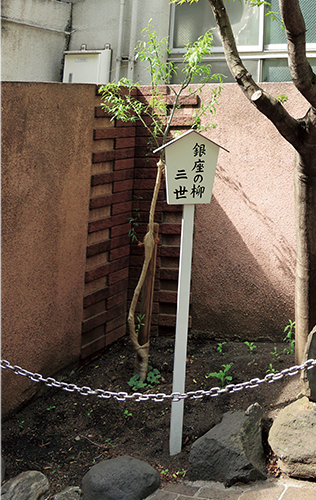 銀座の柳三世